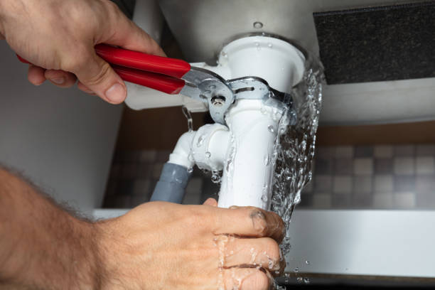Best Local water damage restoration  in Wacousta, MI