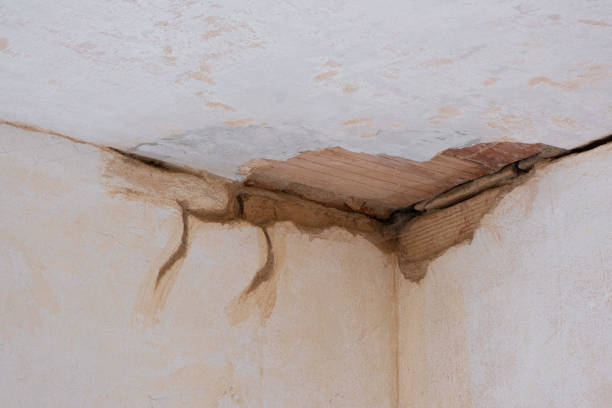 Best Water damage restoration cost  in Wacousta, MI
