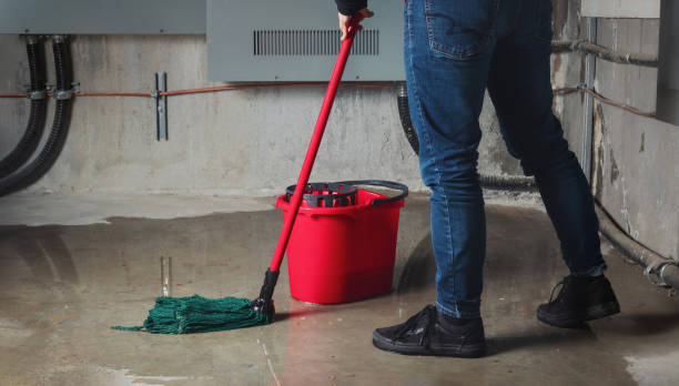 Best Residential water damage restoration  in Wacousta, MI