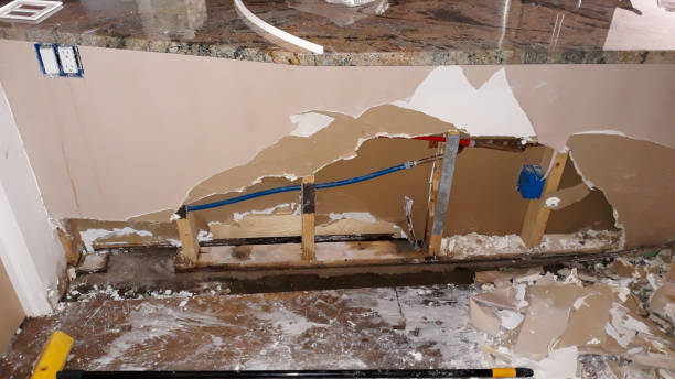 Best Flood restoration services  in Wacousta, MI