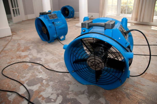 Best Commercial water damage restoration  in Wacousta, MI