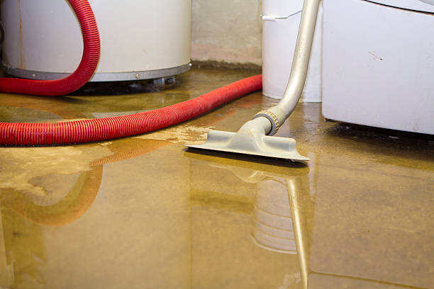 Trusted MI Water damage restoration Experts