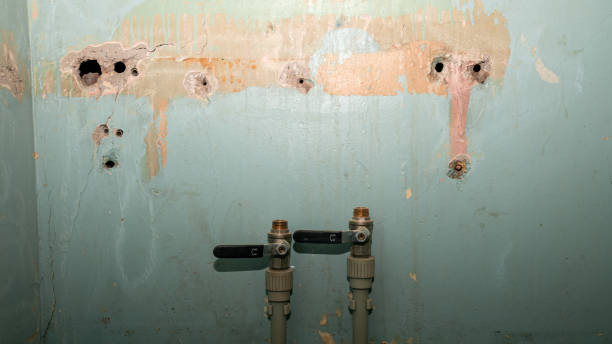 Best Basement water damage restoration  in Wacousta, MI