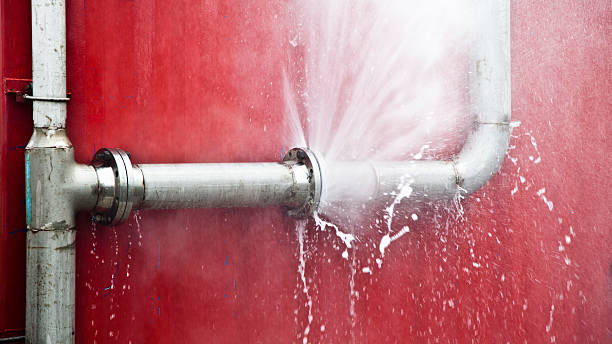 Best Water damage cleanup near me  in Wacousta, MI